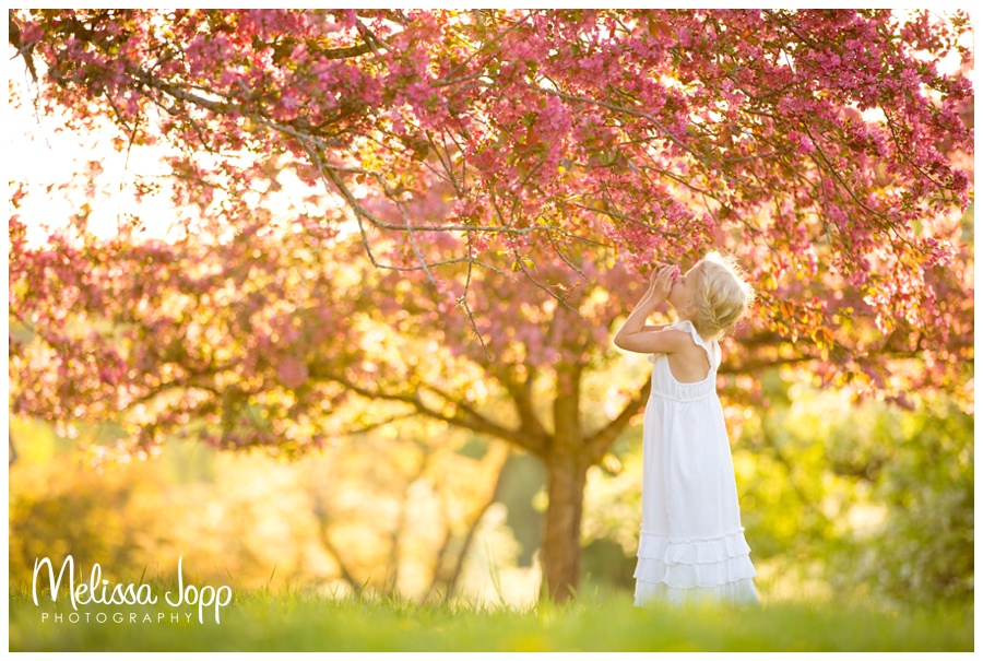 little girl smelling apple blossoms mn portrait photographer