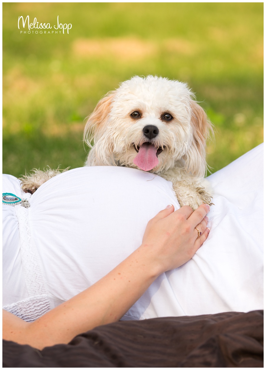 maternity pictures with dog waconia mn maternity photographer